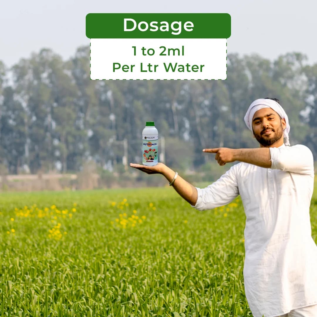 NUTRIMIX (Bio Encapsulated Multi Micro-Nutrients) Bioactive, Iron, Zinc, Manganaese, Boron and Other Essential Micronutrients - Image 5