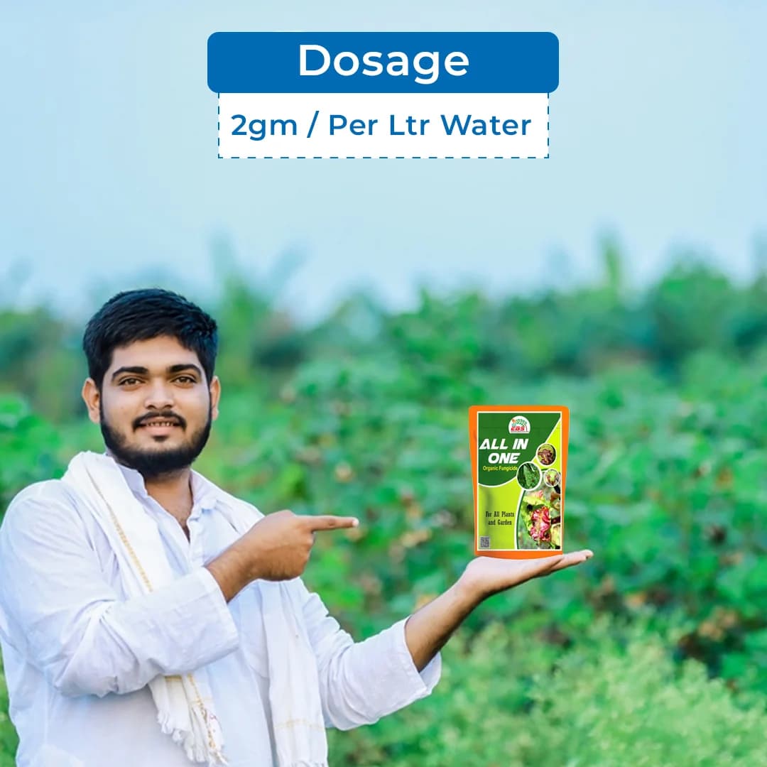 EBS All In One Organic Fungicide, Effective Protection Against Fungal Diseases - Image 6