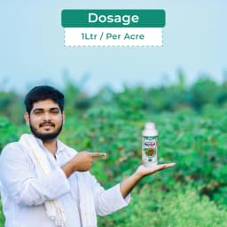 BACF Nutrixulf Sulphur 40% SC Fungicides, Effective Against Powdery Mildew, Rust, Leaf Spot. 5