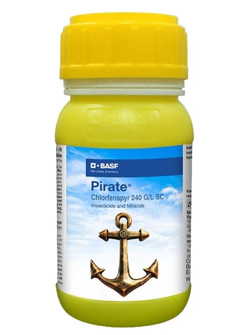 BASF Pirate Chlorfenapyr 240 GL SC Insecticide, Effective For Crops Protection - Image 1