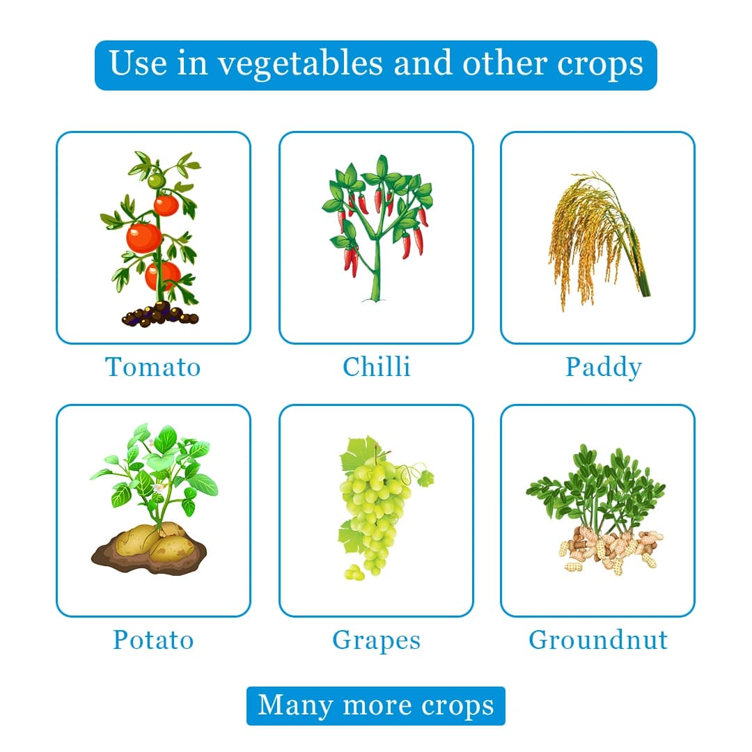 Swal Manzate Fungicide - Image 4