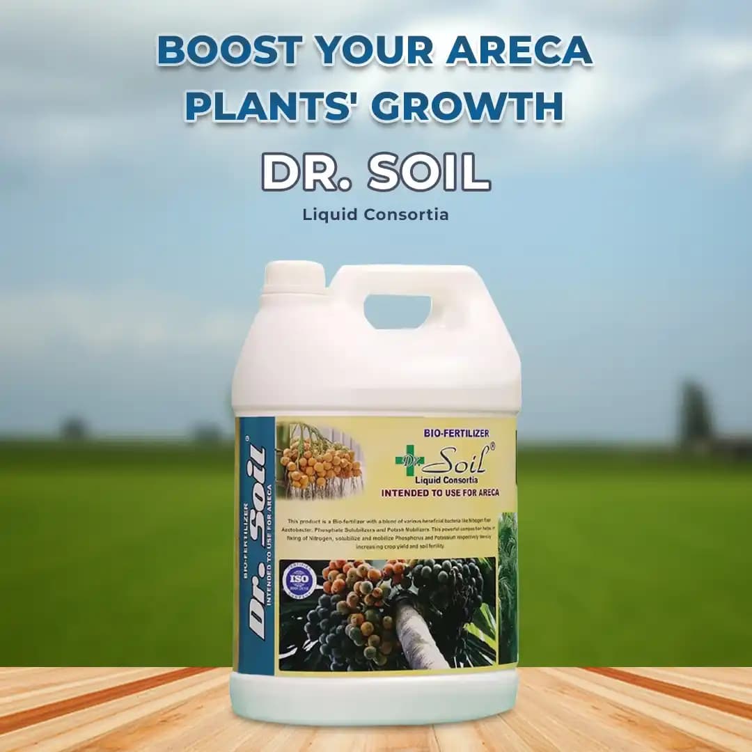 Dr. Soil Areca Intendend Use for Areca (Liquid Consortia) (ISO Certified) Areca special Liquid Fertilizer - Image 2