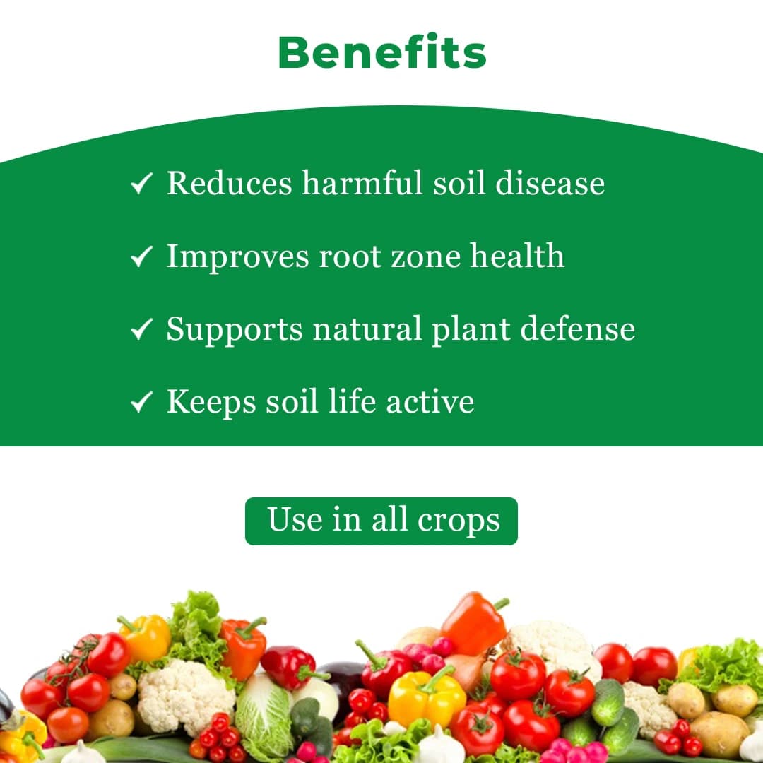 Agriventure Sudoku (Pseudomonas Flurescens 1% Wp) Promote Plant Growth And Health By Suppressing Soil Borne Diseases - Image 4