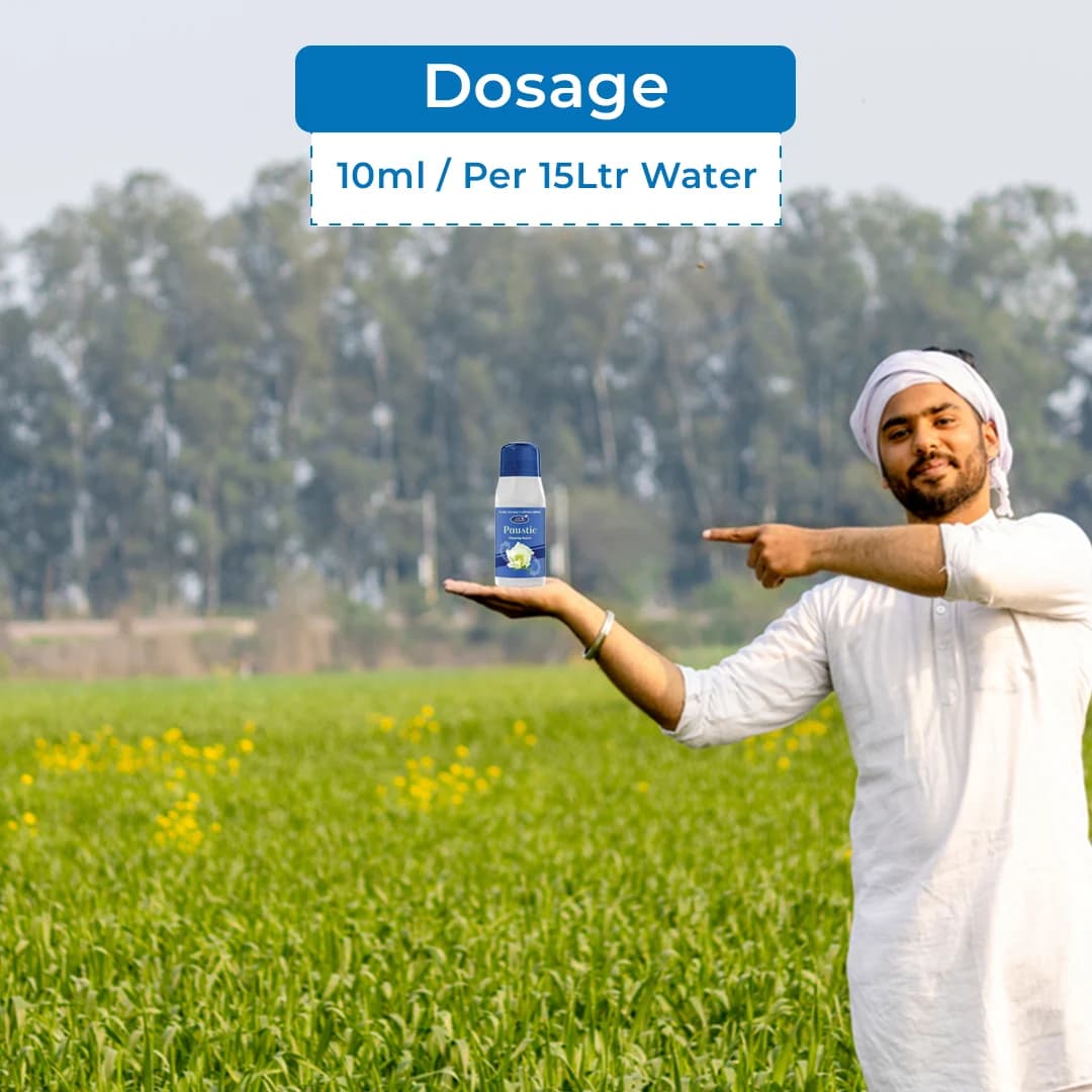 Agriventure PAUSTIC (Flowering Special) Plant Growth Regulator, Helps to Increase Flowering and Stop Dropping of Flower - Image 6