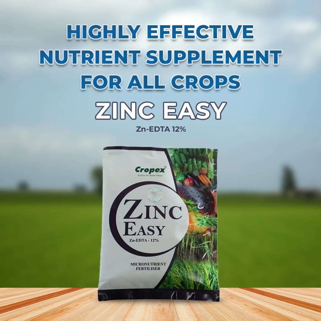 Zinc Easy Zn-EDTA 12% Quickly soluble in water, Helps in Grain Formation, Micro Nutrient Fertilizer - Image 2