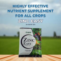Zinc Easy Zn-EDTA 12% Quickly soluble in water, Helps in Grain Formation, Micro Nutrient Fertilizer 2