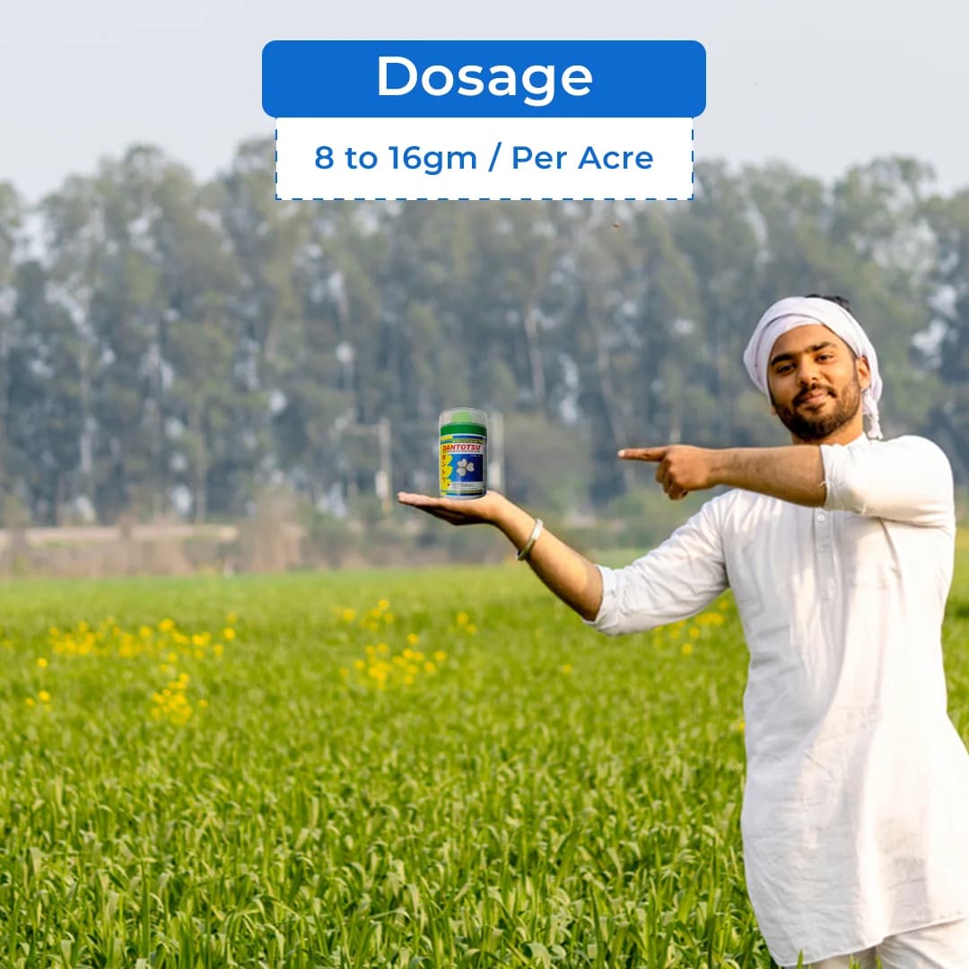 Sumitomo Dantotsu Insecticide - Image 5