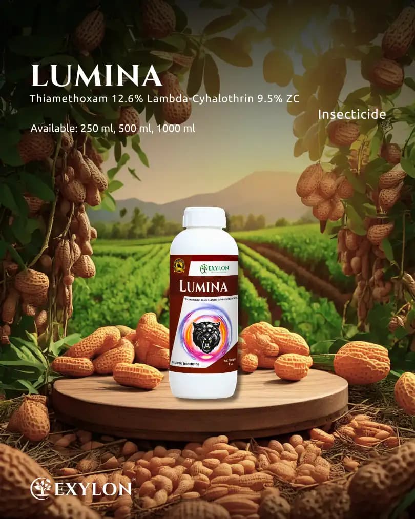 Exylon Lumina Thiamethoxam 12.6% + Lambda-Cyhalothrin 9.5% ZC Insecticide, Powerful Dual-Action Pest Control - Image 2