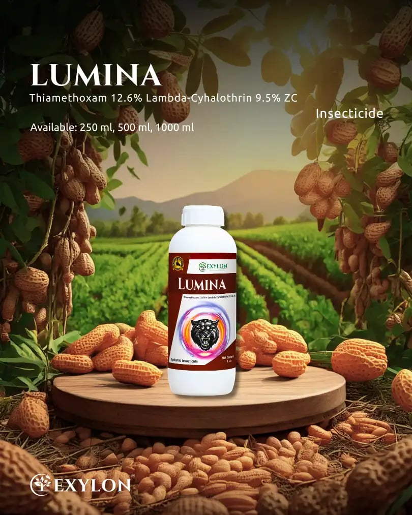 Exylon Lumina Insecticide