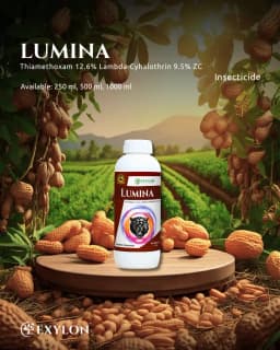 Exylon Lumina Thiamethoxam 12.6% + Lambda-Cyhalothrin 9.5% ZC Insecticide, Powerful Dual-Action Pest Control 2