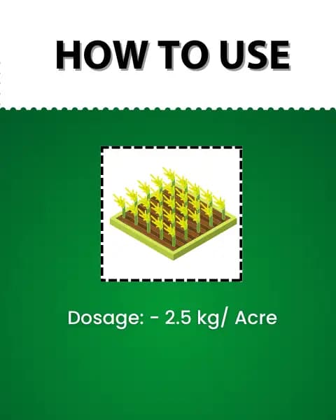 Katyayani Vasishta Thiamethoxam 1% + Chlorantraniliprole 0.5% GR, Advanced Chemical Insecticide Granules For Effective Pest Management - Image 5