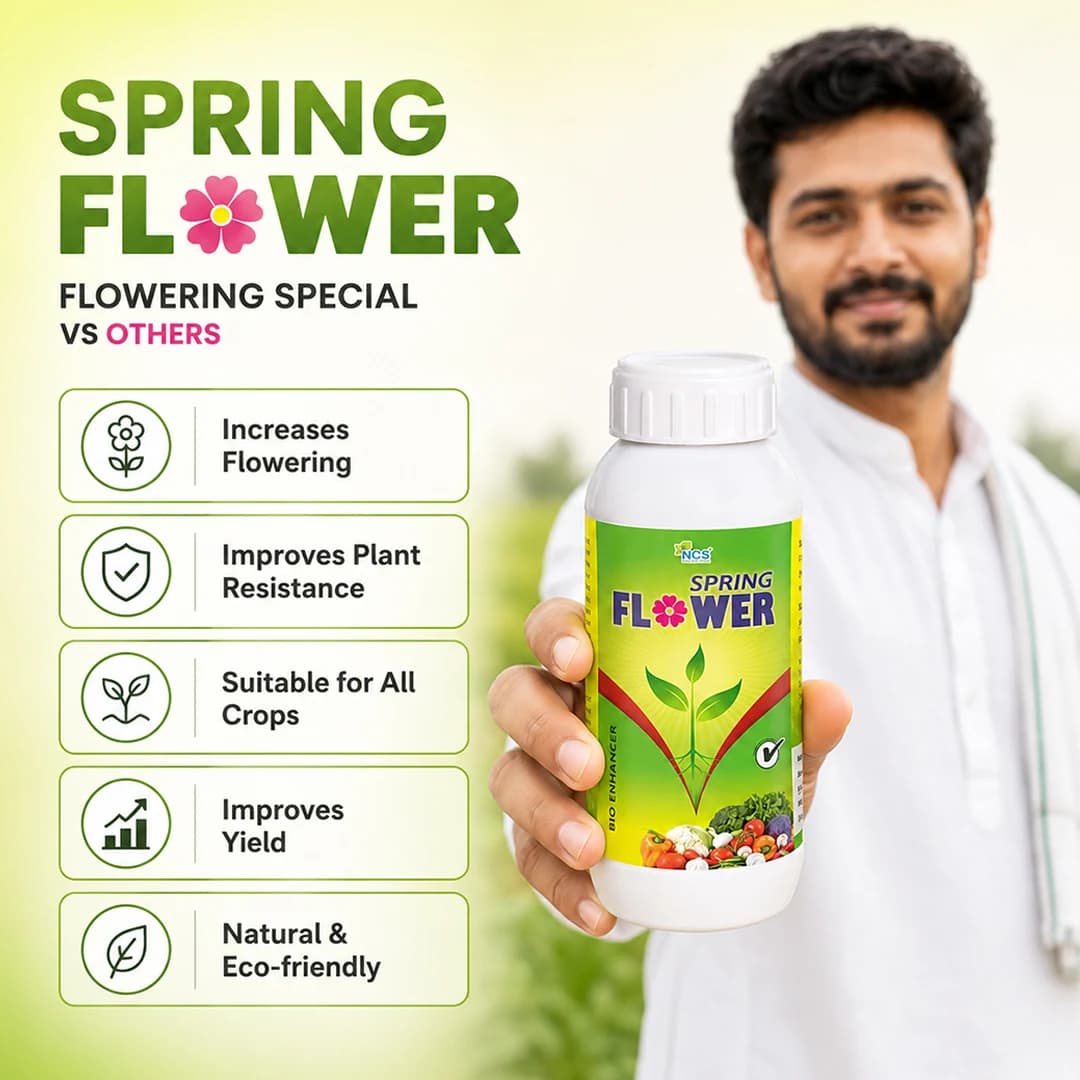 Spring Flower - Special Plant Bio-Stimulant for Enhancing Flowering and Promoting Rapid Growth - Image 7
