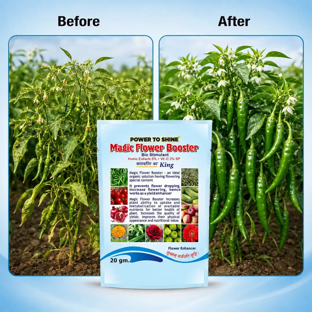 Magic Flower Booster, an Organic 4G Flowering Stimulant, specialized hormonal content for a flowering purpose. - Image 3