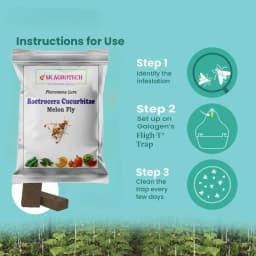 SK Agrotech Bactrocera Cucurbitae Mac Phll Trap With Melon Fly Lure - Effective Pest Control for Vegetables 4
