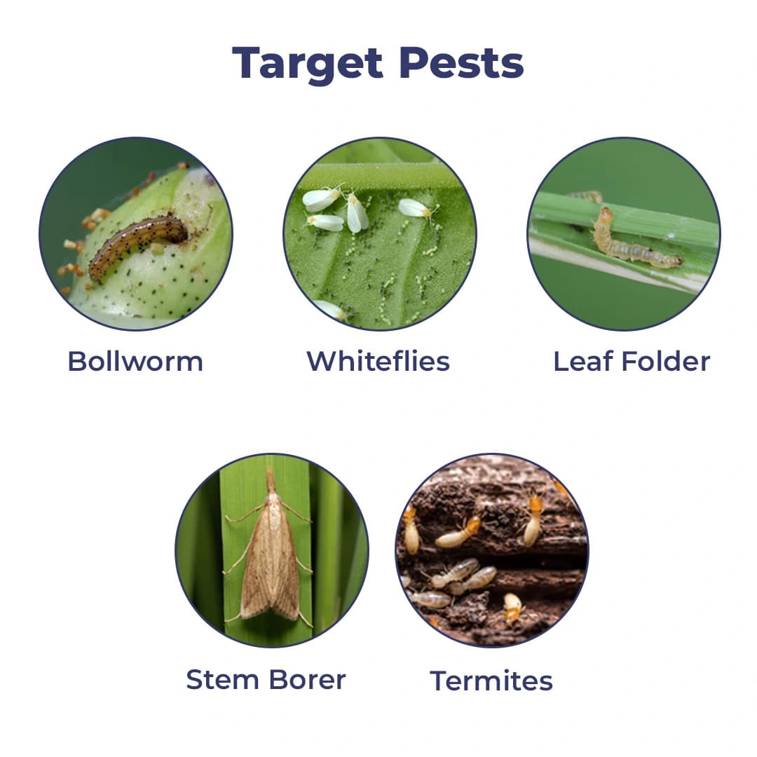 FMC Talstar Bifenthrin 10% EC Insecticide, Control On Various Sucking And Chewing Pests - Image 3