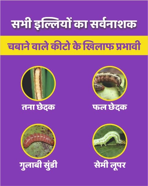 Agriventure Carzone Insecticide - Image 6