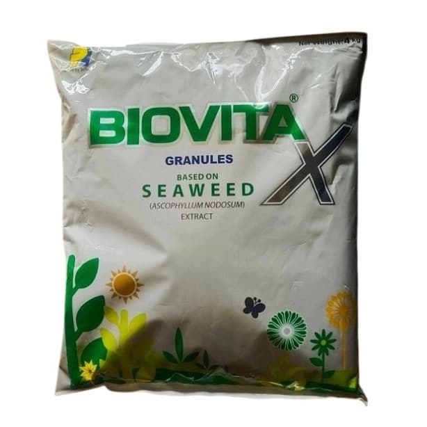 PI Biovita X Granules Ascophyllum Nodosum, Seaweed Extract Granules, and Plant Growth Regulator - Image 6