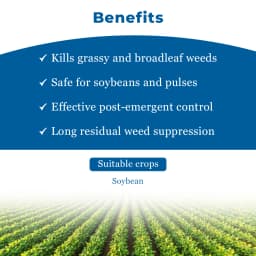 Adama Shaked Propaquizafop 2.5% + Imazethapyr 3.75% , Post Herbicide With Broad Spectrum Activity. 4