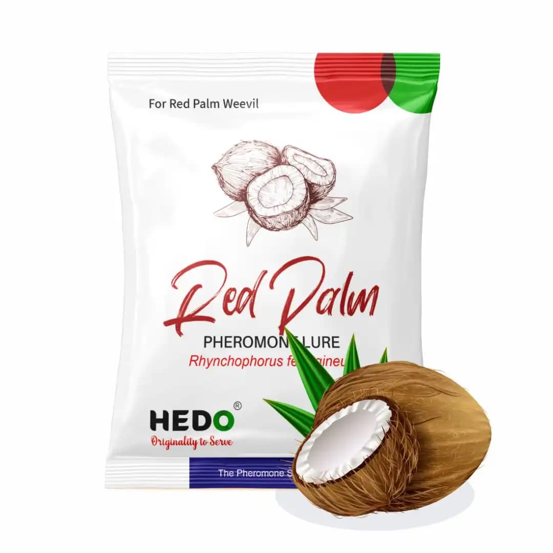 HEDO Red Palm Weevil Bucket Trap With Pheromone Lure (Rhynchophorus Ferrugineus) Control In Coconut, Date Palm, Oil Palm And Arecanut Palm - Image 3