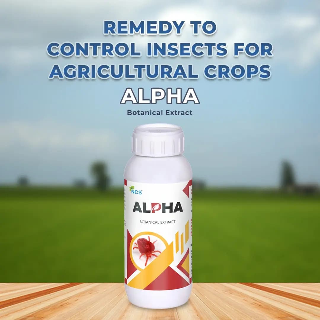 Alpha - Bio and Eco-Friendly Remedy for Thrips and Mites, Suitable for All Agricultural Crops - Image 2