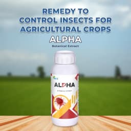 Alpha - Bio and Eco-Friendly Remedy for Thrips and Mites, Suitable for All Agricultural Crops 2