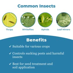 Bomba - Imidacloprid 17.8% SL Insecticide, Effective Against Jassids, Aphids, Thrips, and Leaf Hoppers 3