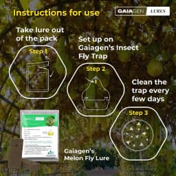 Gaiagen Pheromone Lure For Melon Fly (Bactrocera Cucurbitae) And Insect Fly Trap, IMO Certified. 6