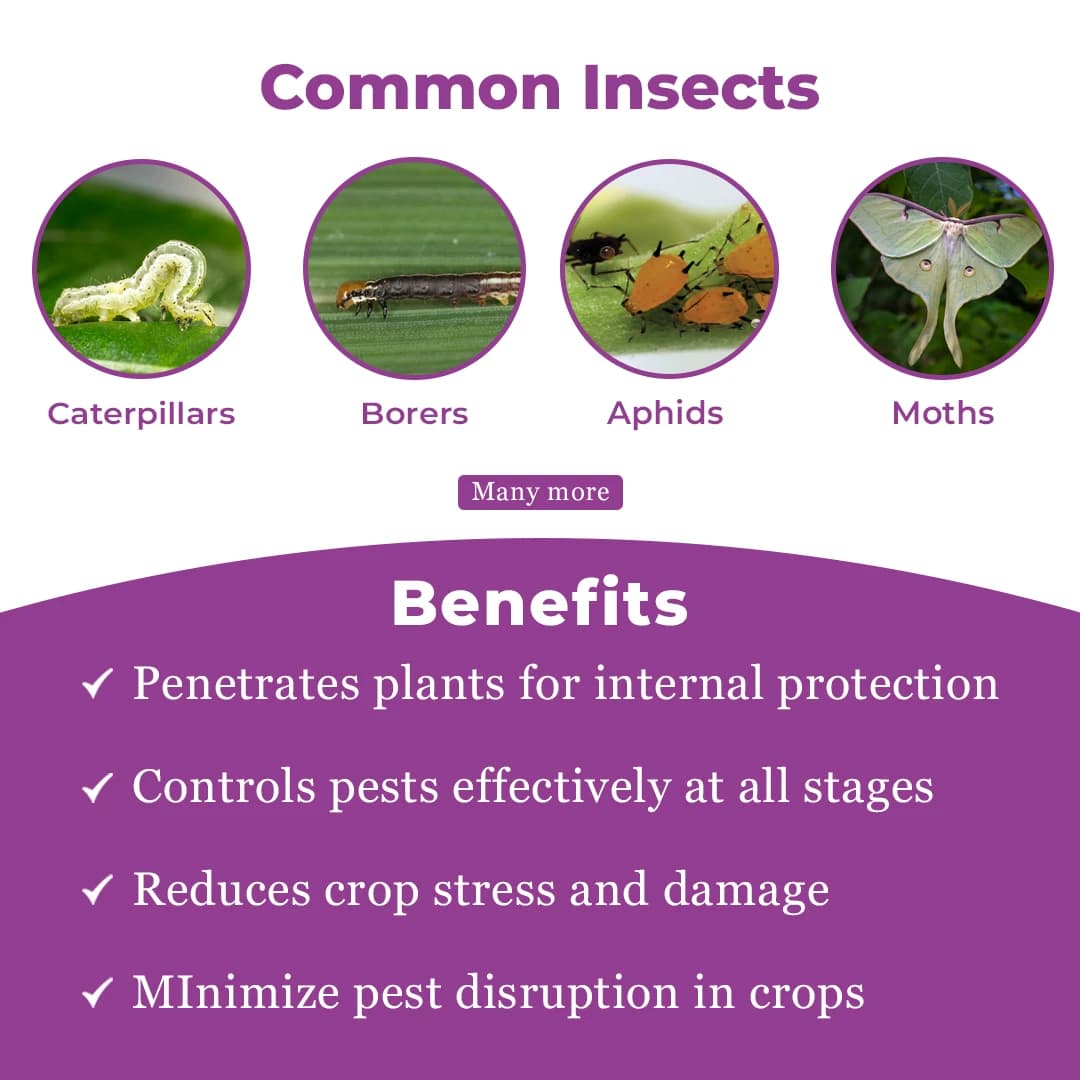 Titan Agritech Pepora Insecticide - Image 4