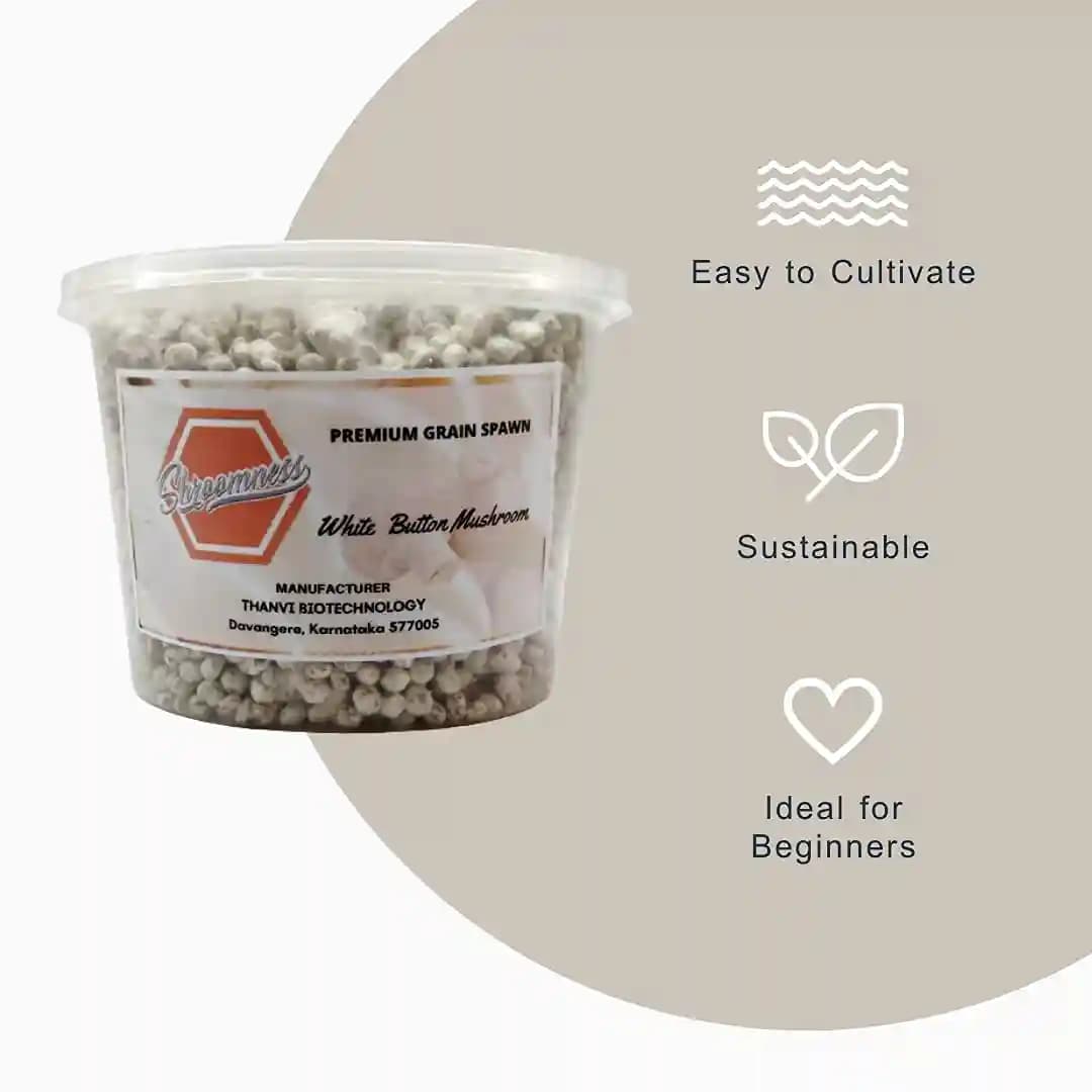 थानवी बायोटेक्नोलॉजी बटन मशरूम स्पॉन, एगैरिकस बिस्पोरस, केवल स्पॉन शामिल, सर्वोत्तम गुणवत्ता - Image 8
