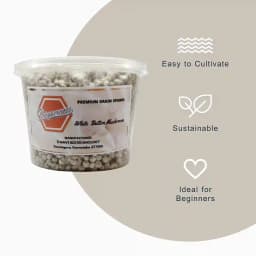 थानवी बायोटेक्नोलॉजी बटन मशरूम स्पॉन, एगैरिकस बिस्पोरस, केवल स्पॉन शामिल, सर्वोत्तम गुणवत्ता 8