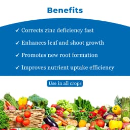 Tata Rallis Nayazinc Fertilizer, Zinc Polyphosphate, Promotes Plant Growth, Development And Yield 4