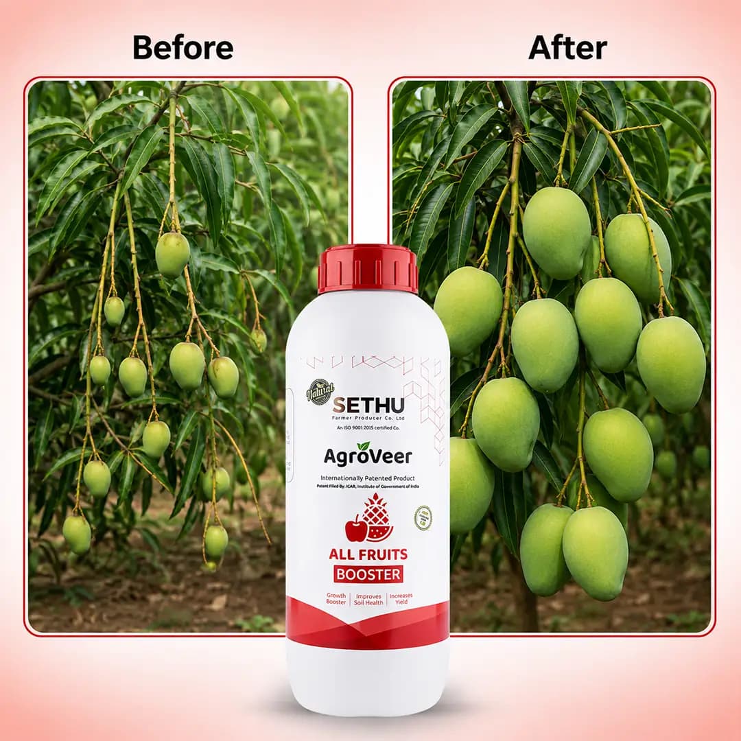 Agroveer All Fruits Booster, Contains Gibberellic Acid, Amino Acid And Other Micronutrients, ICAR Approved. - Image 3