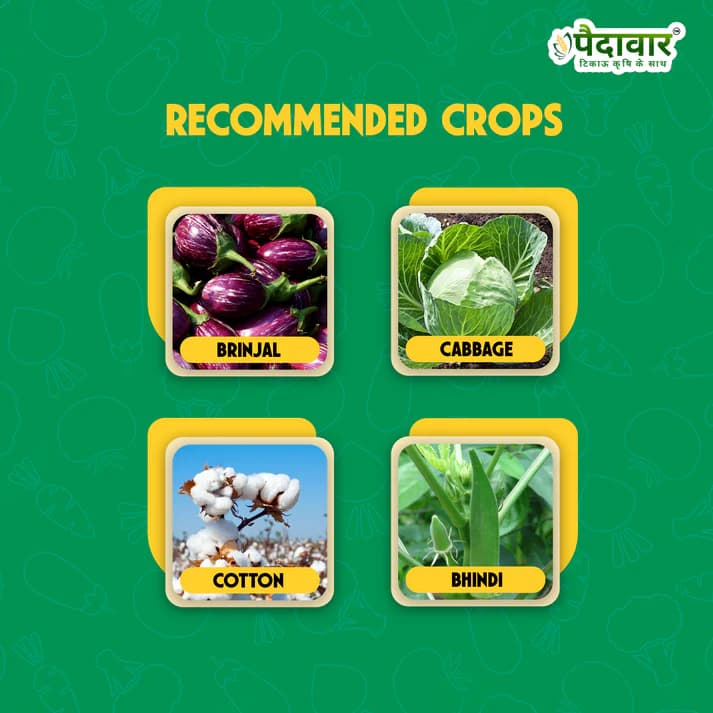 Paidavaar Cyper 25 Cypermethrin 25% EC Insecticide Powerful Broad Spectrum Crop Protection - Image 4