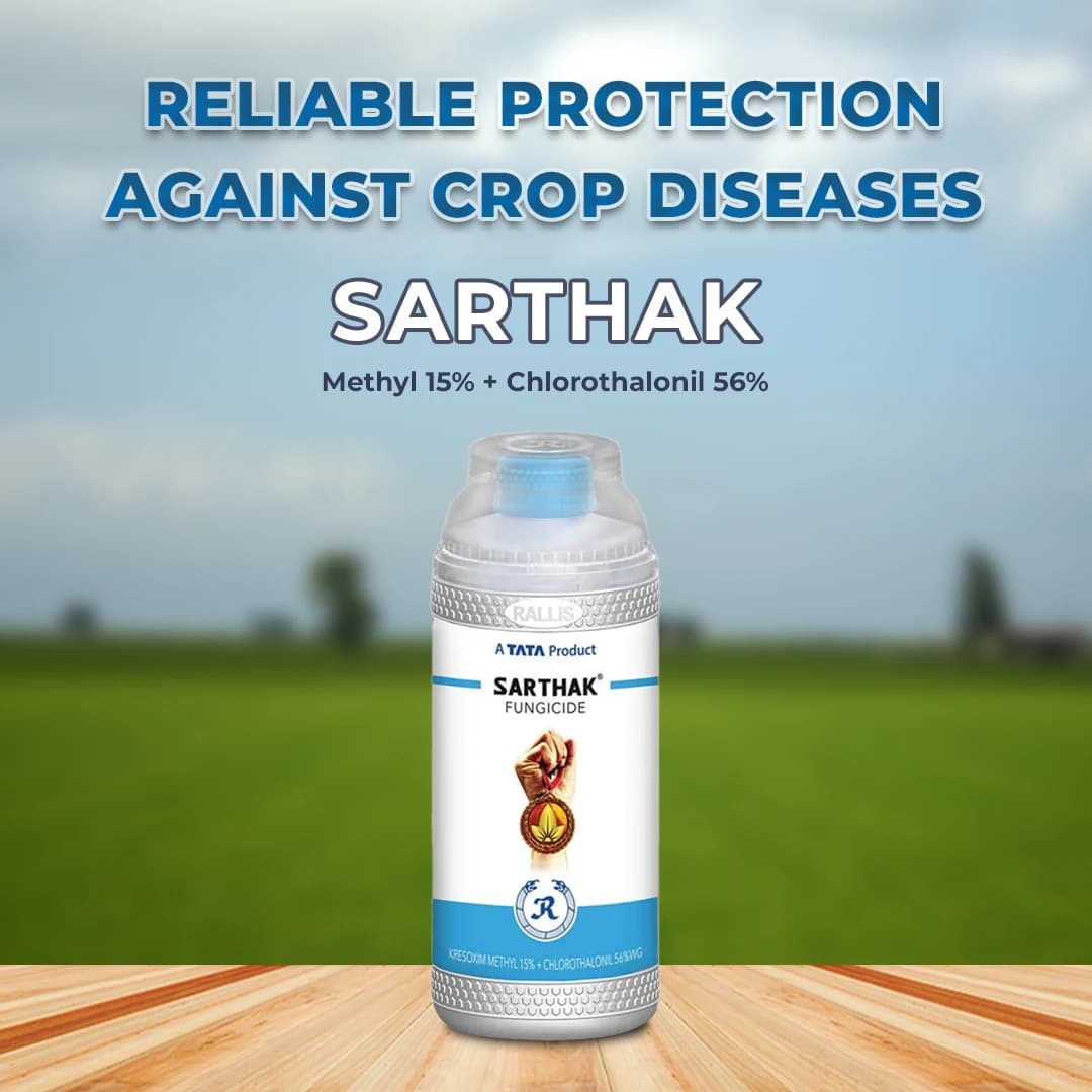 Tata Rallis Sarthak Methyl 15% + Chlorothalonil 56% Fungicide, Used for Potato and Chilli Crops. - Image 2
