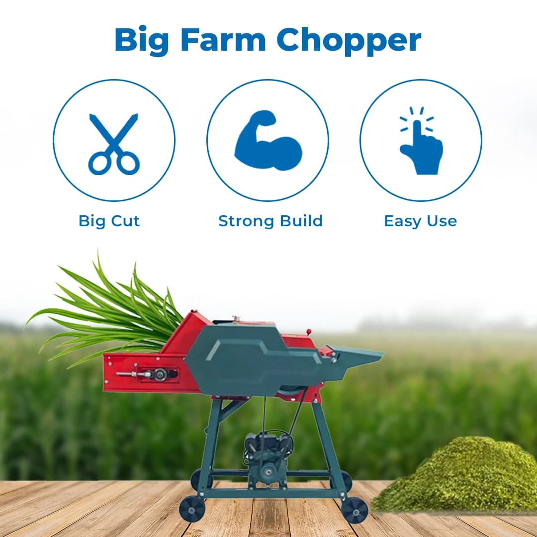 Royal Kissan Chaff Cutter RK-CC-2.8 (220), 2800 KG-HR Cutting Capacity, High-Speed Fodder Processing - Image 3