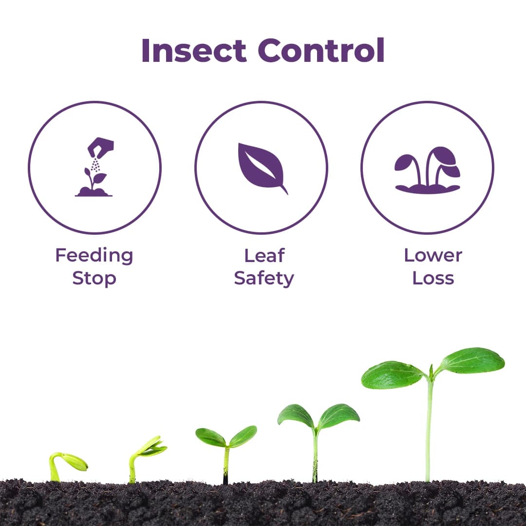 Agriventure Carzone Insecticide - Image 3