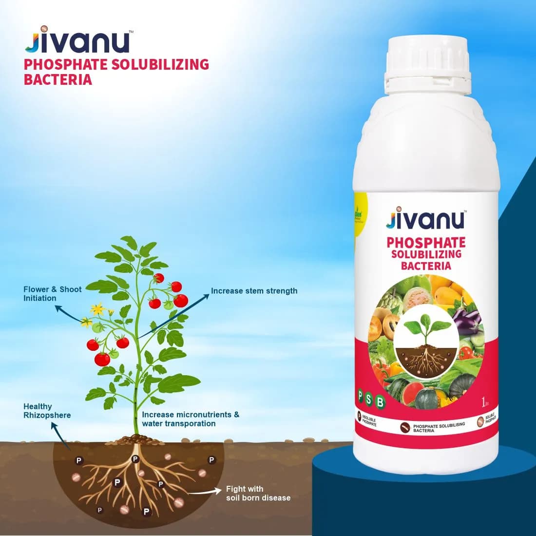 Green Revolution Jivanu PSB Phosphate Solubilizing Bacteria Liquid Bio Fertilizer, Improves Nutrient Uptake - Image 4