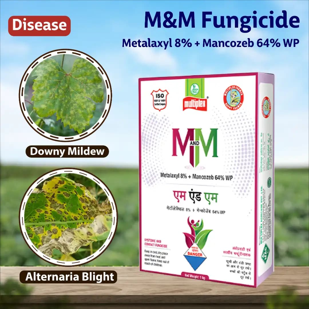 Multiplex M And M Metalaxyl 8% + Mancozeb 64% WP Fungicide, Effective Broad-Spectrum Disease Control - Image 2