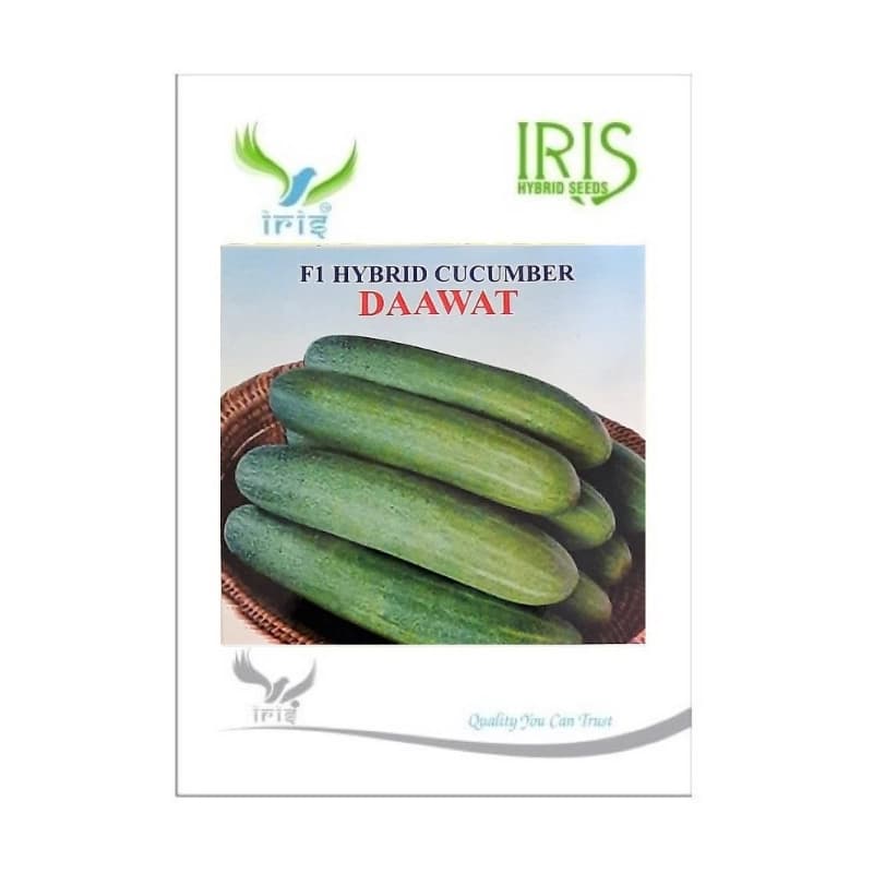 Iris Daawat F1 Hybrid Cucumber Seeds, High Yield, Long Shelf Life And Heat Tolerant Variety - Image 1