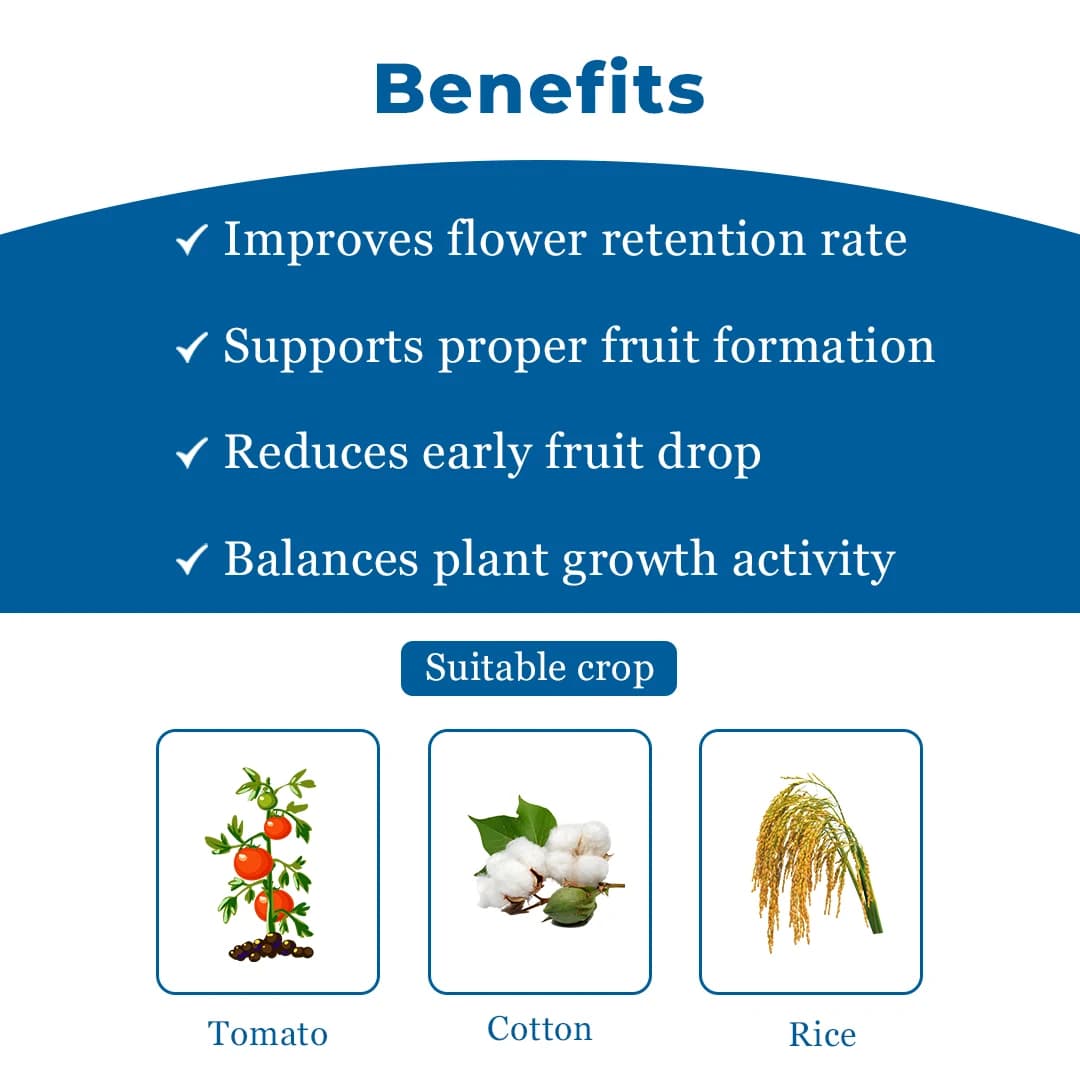 Katyayani Fix IT Alpha Naphthyl Acetic Acid 4.5% SL Plant Growth Regulator, Liquid For Chilli, Mango - Image 4