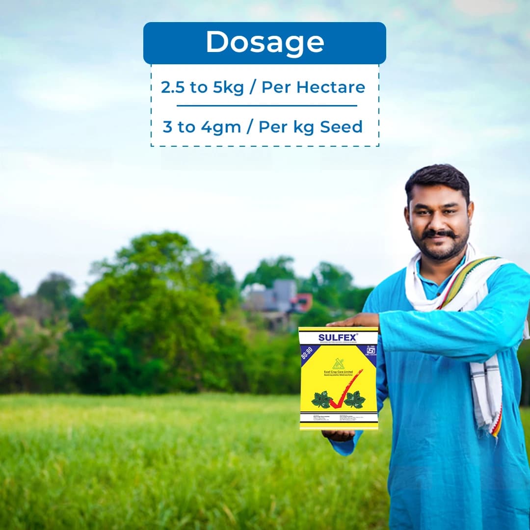 Excel Sulfex Sulphur 80% Wp Fungicide, Broad Spectrum Contact And Protective Fungicide - Image 5