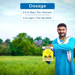 Excel Sulfex Sulphur 80% Wp Fungicide, Broad Spectrum Contact And Protective Fungicide 5