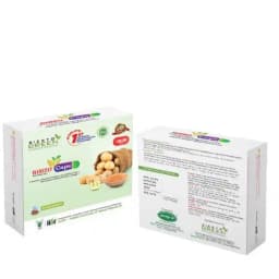 Siesto Rahizo. Capsules containing nodulating types of symbiotic nitrogen-fixing bacteria known as Rhizobium spp. 2