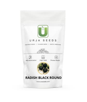 Urja Black Round Radish Seeds, Gol Kali Mooli, One Of The Fastest Growing Vegetable In Cool Climate - Image 1