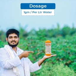 यूपीएल स्पोलिट एमेक्तिन बेंजोएट 5% एसजी कीटनाशक, ट्रांसलामिनर और पेट क्रिया के साथ 5