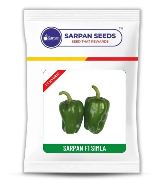 Sarpan F1 Simla Capsicum Seeds - Shimla Mirch Seeds