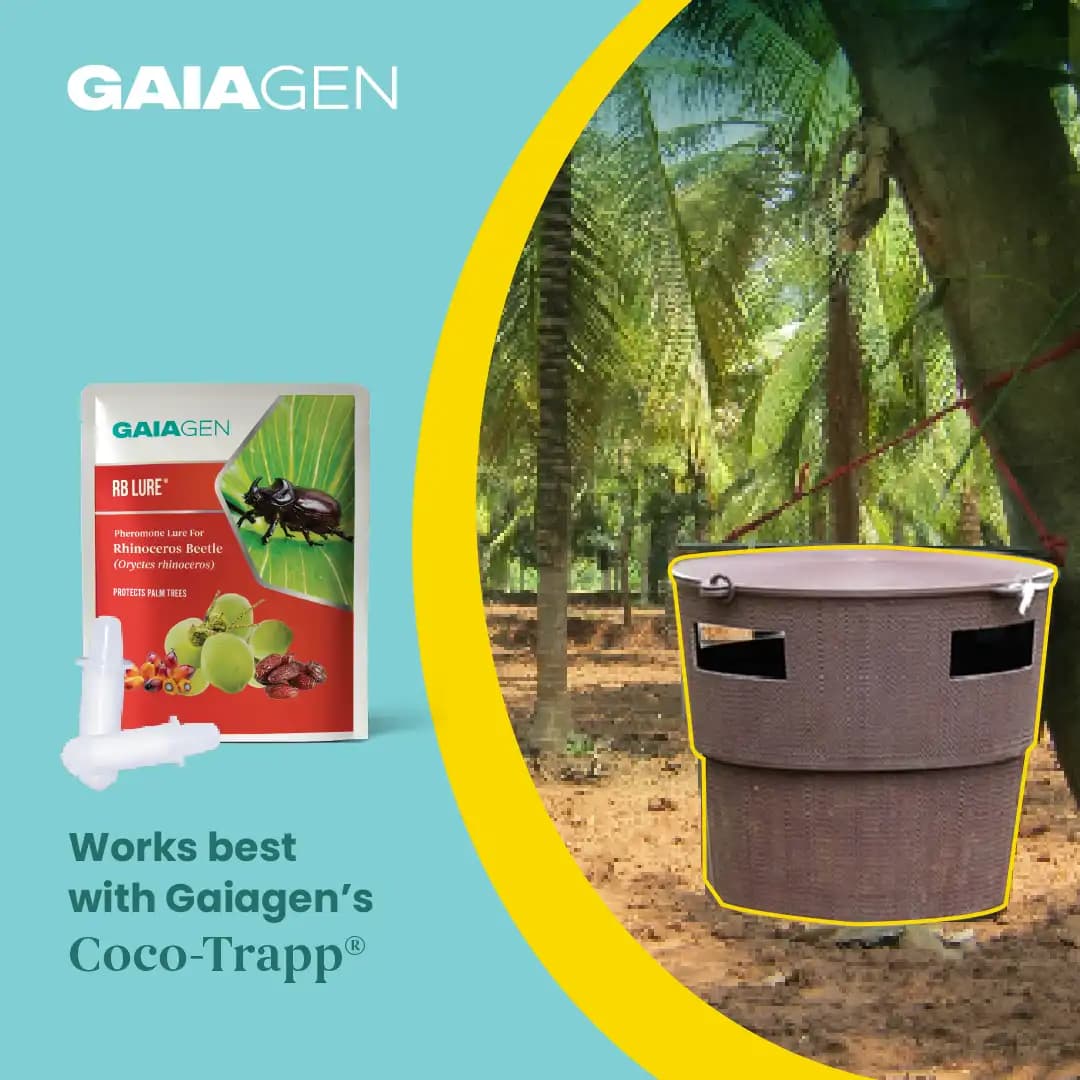 Gaiagen RB Lure Combo , Pheromone Lure For Rhinoceros Beetle Outdoor Plants (Oryctes Rhinoceros) and Insect Bucket Trap, IMO Certified. - Image 8