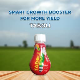 सुमितोमो तबोली पौधों की वृद्धि संवर्धक, पेड़ की वृद्धि को नियंत्रित करता है, और छंटाई लागत को घटाता है 2