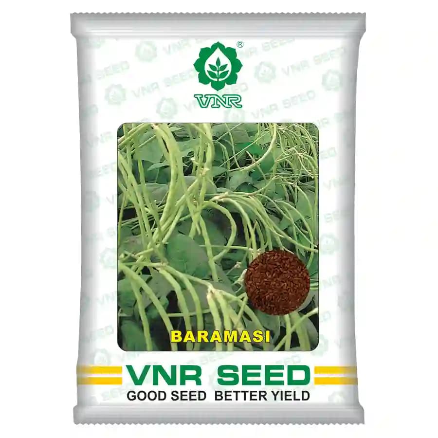 VNR Baramasi Cowpea OP Seeds, High Yield, Produces Long, Green To White Fruits