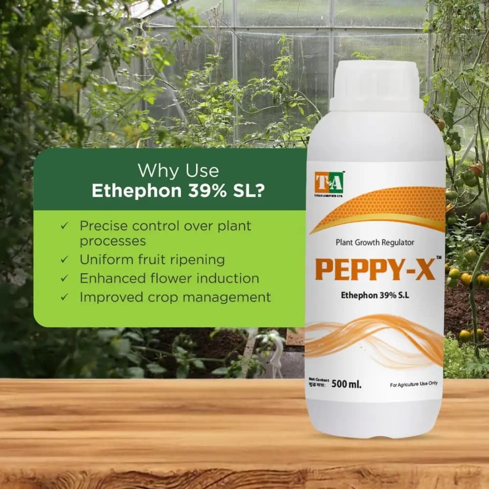 Titan Agritech Peppy-X Ethephon 39% SL Plant Growth Regulator, Enhances Flower Initiation In Fruit Trees And Ornamentals - Image 2